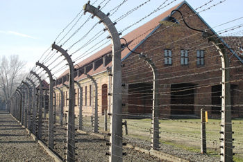 auschwitz_big