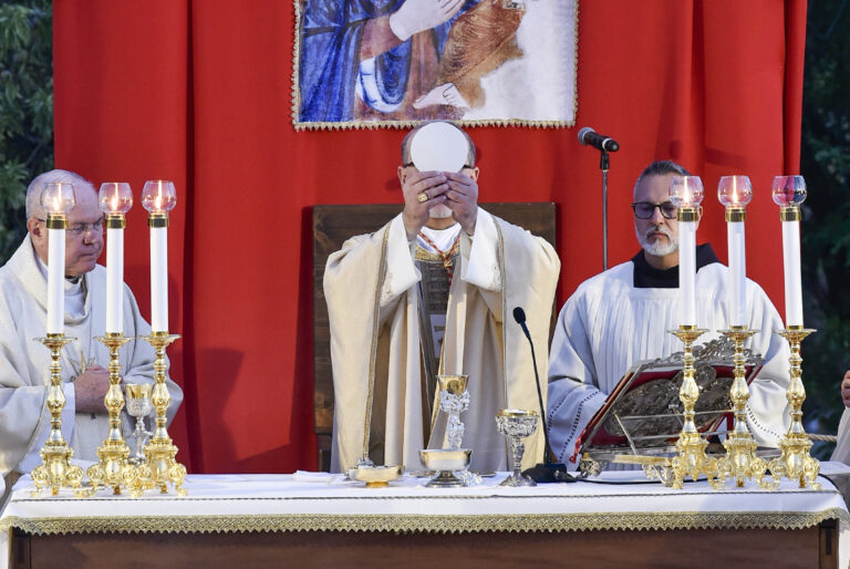 Cardinale Pizzaballa (46)