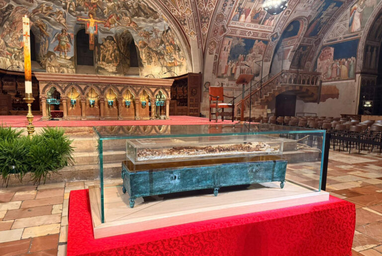 WhatsApp Image 2026-03-12 at 18.46.17